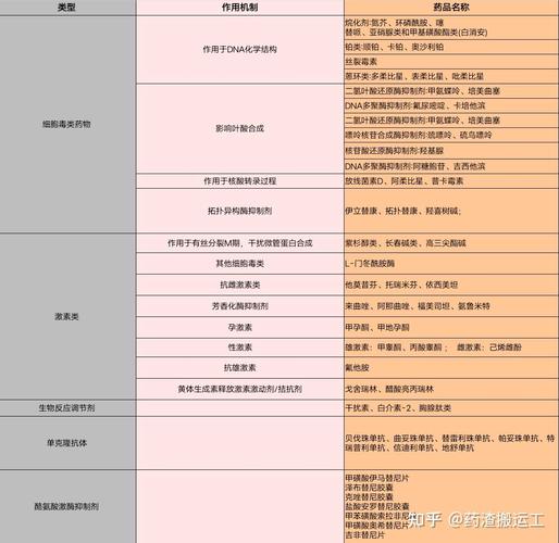 揭秘正规回收药全流程：肿瘤患者家庭药品处理正确姿势