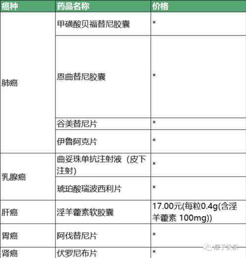 2024肿瘤药物公司排名深度解析：选对平台让高价药不再闲置